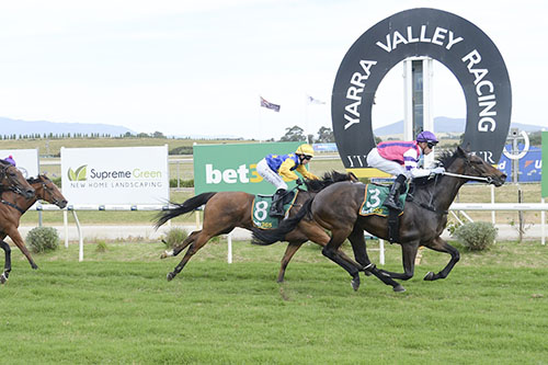 SCORPIUS RESUMES WITH IMPRESSIVE YARRA VALLEY WIN..